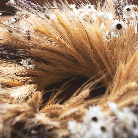 Horsky Dvur בית הארחה Bedřichov