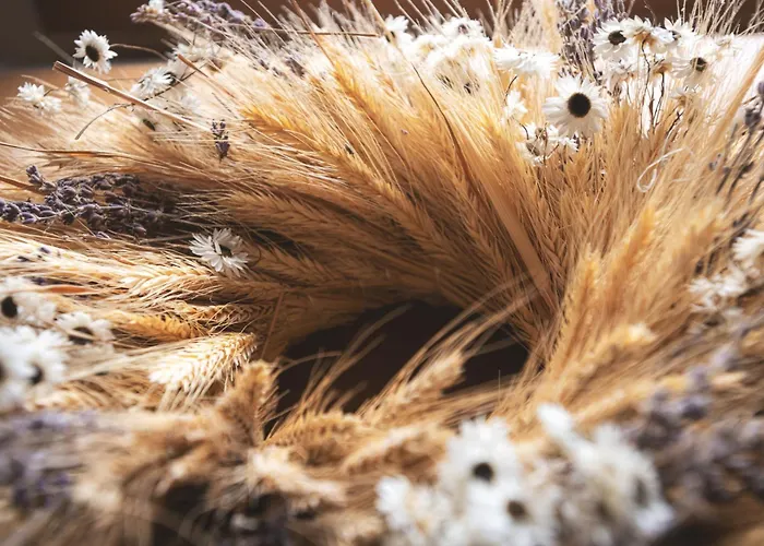 Horsky Dvur Guest house Bedrichov (Liberec)